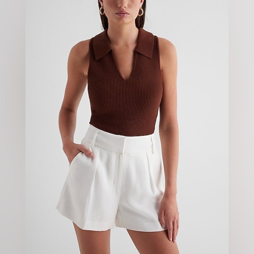 Express Ribbed V-Neck Polo Sweater Tank